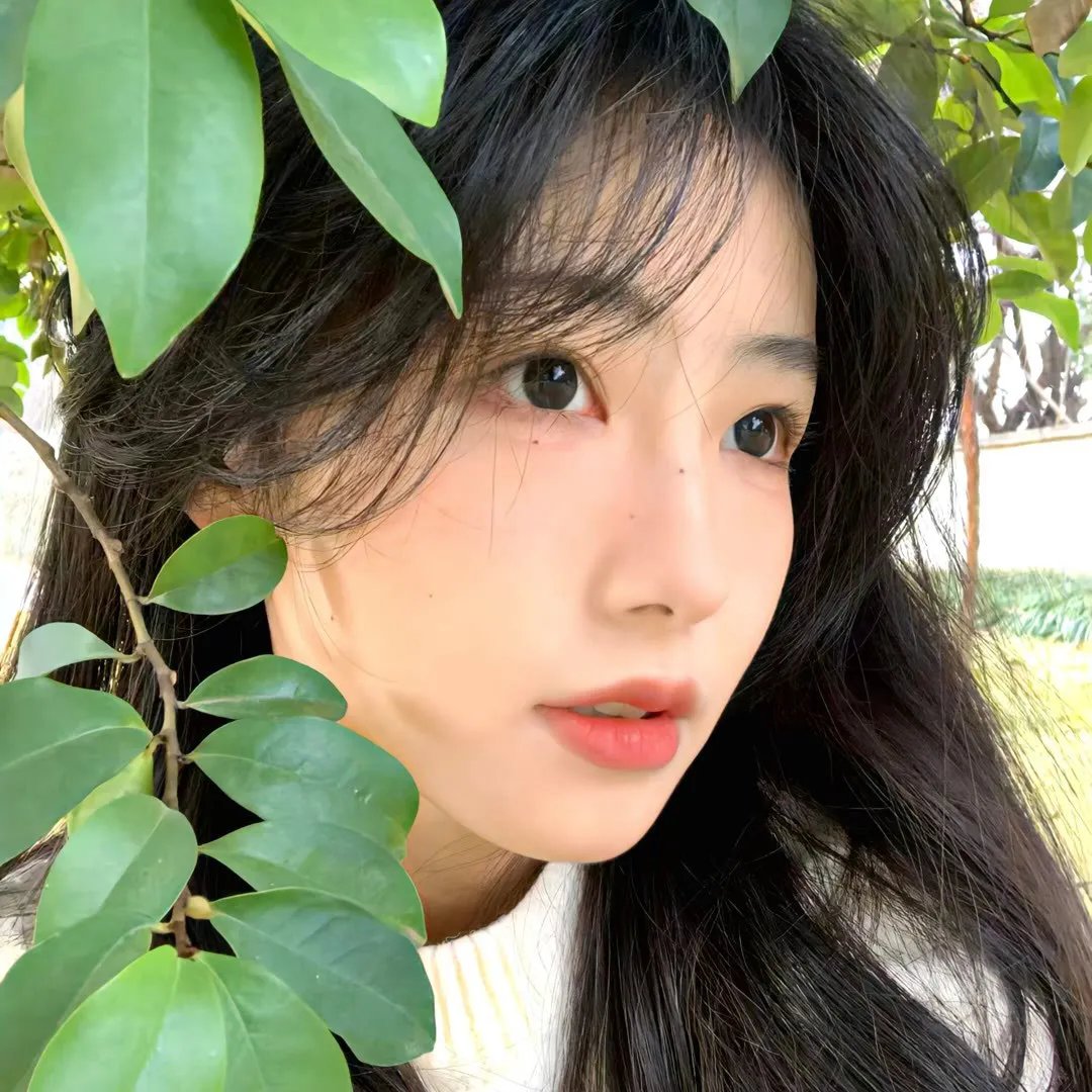 美丽在唱歌